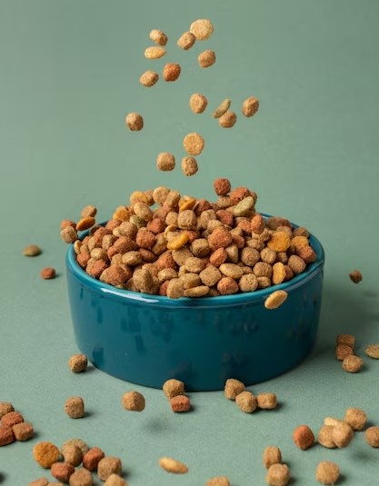 Ícone de Coração.